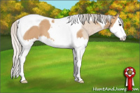 Horse Color:Silver Bay Dun Sabino Splash Tobiano