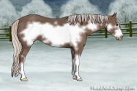 Horse Color:Silver Black Sabino Frame