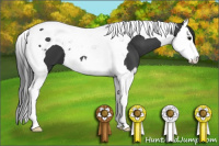 Horse Color:Brown Splash Tobiano 