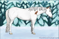 Horse Color:Silver Bay Splash Tobiano 