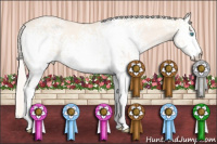 Horse Color:White Spotted Cremello Dun 