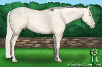 Horse Color:Palomino Pearl Dun Sabino