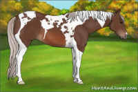 Horse Color:Silver Brown Tobiano 