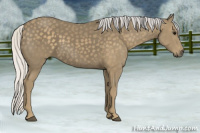 Horse Color:Silver Smoky Black 