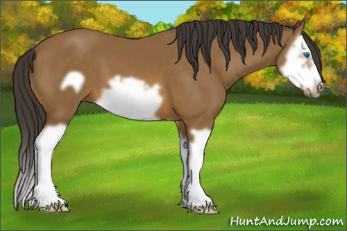 Horse Color: Buckskin Splash Frame 