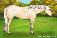 Horse Color:Palomino Ice 