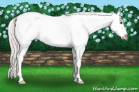 Horse Color:White Spotted Silver Brown Ice Dun Splash 
