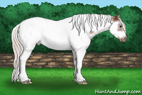 Horse Color: Silver Bay Splash Tobiano Frame 