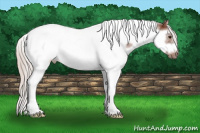 Horse Color:Silver Bay Splash Tobiano Frame