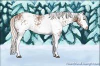 Horse Color:White Spotted Silver Bay Ice Splash