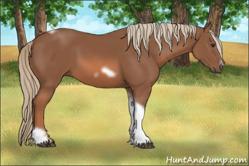 Horse Color: Chestnut Tobiano Frame 