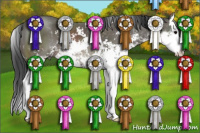 Horse Color:Black Sabino Splash 