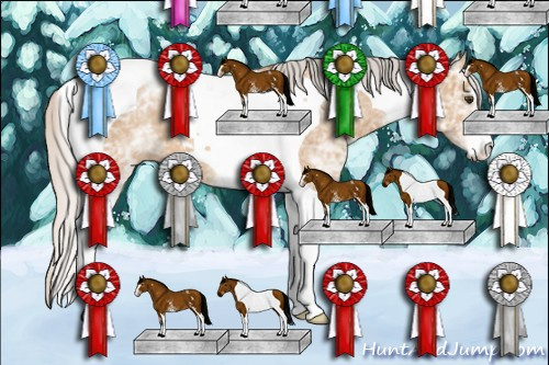 Horse Color: Unknown 