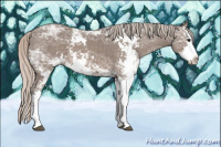 Horse Color:Silver Black Ice Sabino Splash 