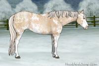 Horse Color:Silver Black Ice Pearl Sabino
