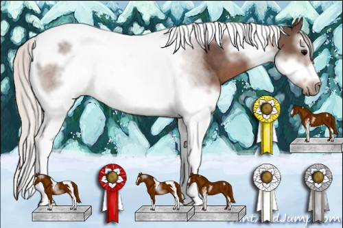 Horse Color: Silver Black Sabino Splash Tobiano Frame 