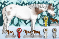 Horse Color:Silver Black Sabino Splash Tobiano Frame 