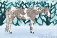 Horse Color:Silver Black Ice Sabino Splash Tobiano 