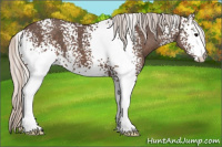 Horse Color:White Spotted Silver Brown 