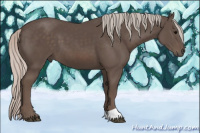 Horse Color:Silver Black 