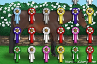 Horse Color:Brown Sabino