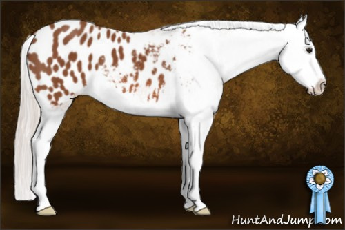 Horse Color: Silver Bay Splash Blanket 