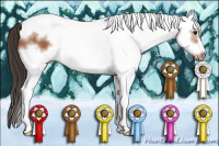 Horse Color:White Spotted Bay Frame