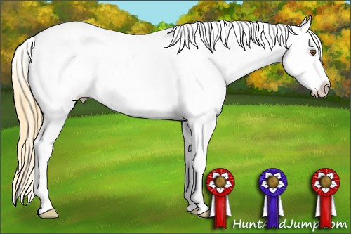 Horse Color: Classic Cream Champagne Dun Sabino Varnish 