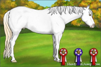 Horse Color:Classic Cream Champagne Dun Sabino Varnish 