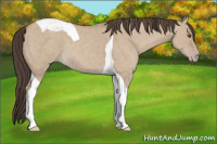 Horse Color:Sable Champagne Dun Sabino Tobiano