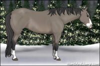 Horse Color:Brown Splash Rabicano