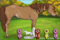Horse Color:Gray Red Dun