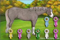Horse Color:Silver Blue Roan Sabino Splash 