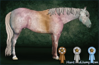 Horse Color:Silver Grullo Ice Roan Rabicano 