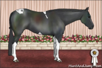 Horse Color:Black Tobiano