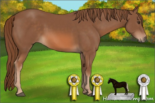 Horse Color: Chestnut 