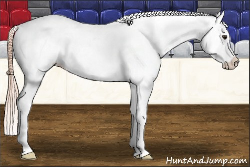 Horse Color: Chocolate Palomino Frame Blanket 