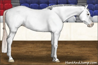 Horse Color:Chocolate Palomino Frame Appaloosa 