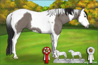 Horse Color:Gray Smoky Grullo Splash Tobiano