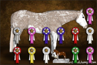 Horse Color:Silver Grullo Ice Sabino Splash 