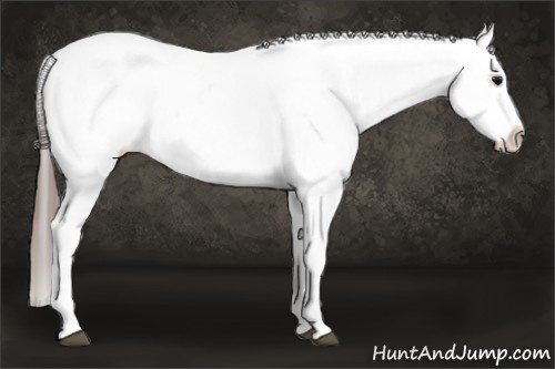 Horse Color: White Spotted Brown Splash Frame Blanket 