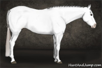 Horse Color:White Spotted Brown Splash Frame Appaloosa