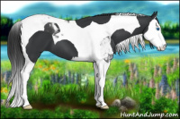 Horse Color:Black Sabino Splash Tobiano 
