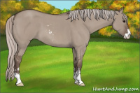 Horse Color:Silver Grullo Roan Sabino 