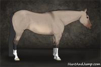 Horse Color:Brown Roan Dun 