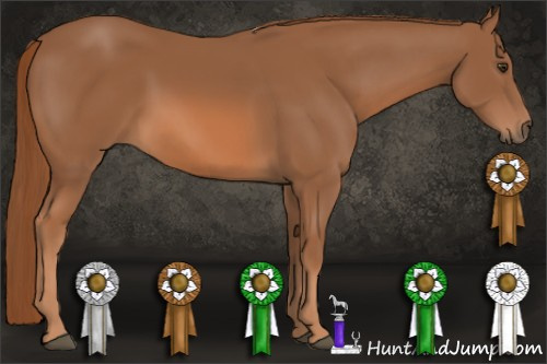 Horse Color: Chestnut 