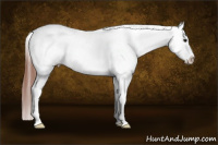 Horse Color:Brown Dun Tobiano Frame Varnish 
