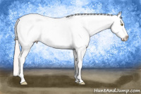 Horse Color:Silver Amber Champagne Tobiano Frame Appaloosa 