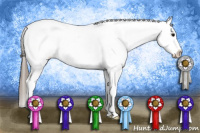 Horse Color:White Spotted Black Frame Appaloosa