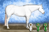 Horse Color:Red Dun Roan Splash Appaloosa 